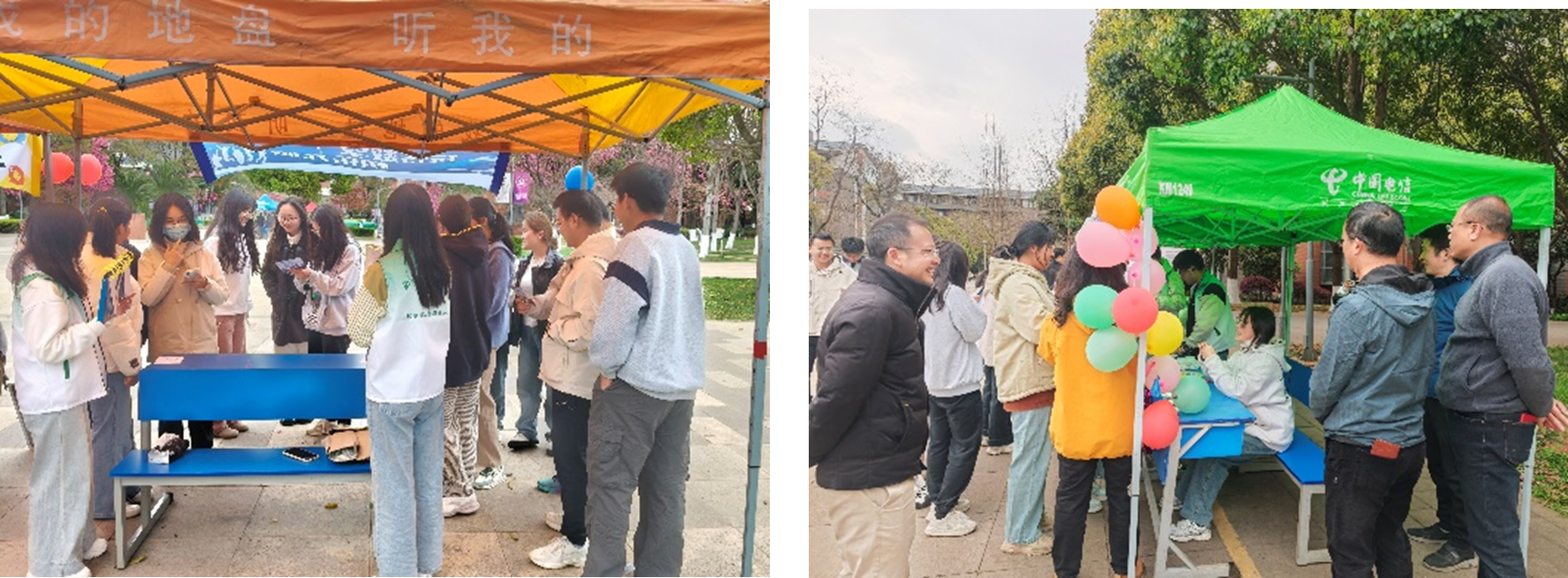 图片12.png
