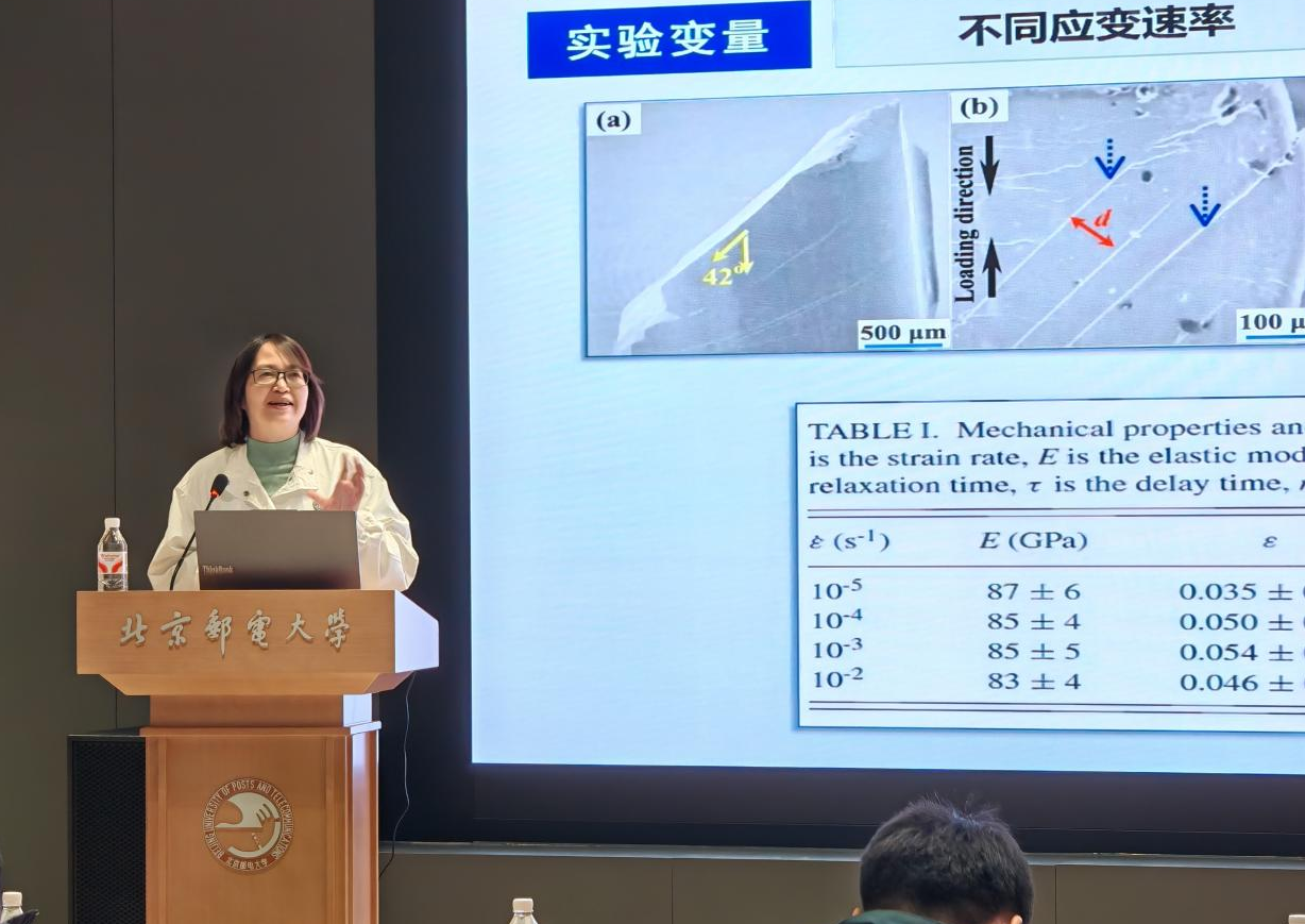 1775705610976279.png 图片 11.png